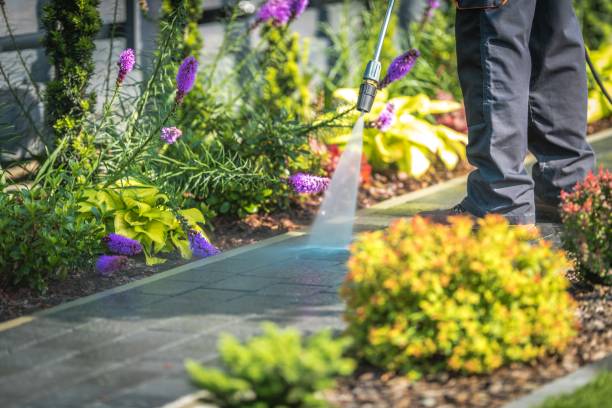 Best Dumpster Area Cleaning  in Carnegie, OK